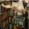 Borsa grace bag in pelle vegana k10863421 Vendula London - immagine 3