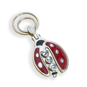 Bagnara Portachiavi Personalizzabile a forma di Coccinella